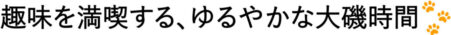 趣味を満喫する、ゆるやかな大磯時間