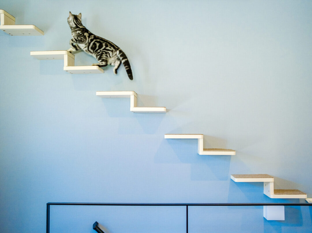 ステップフロア開放的な縦空間を活用したキャットウォーク